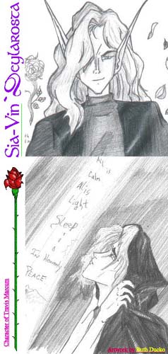 Sia-Vin`